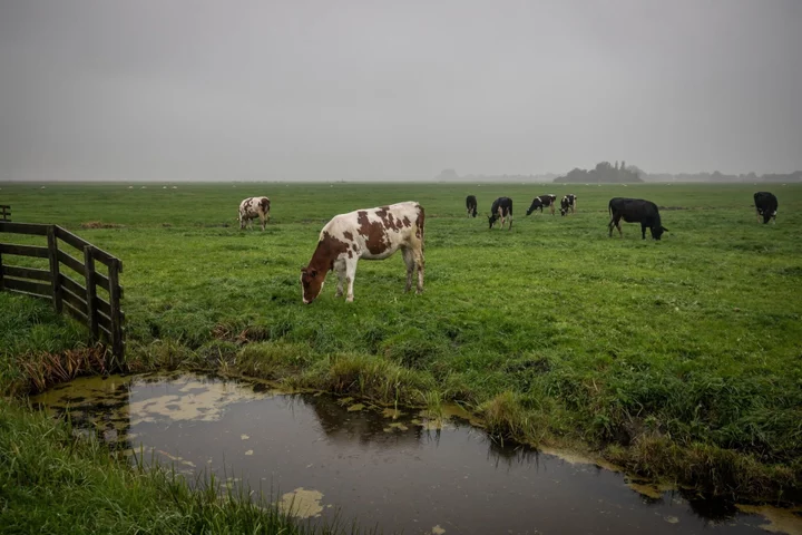 New Zealand Pushes Start of Farm Emissions Tax to Late 2025
