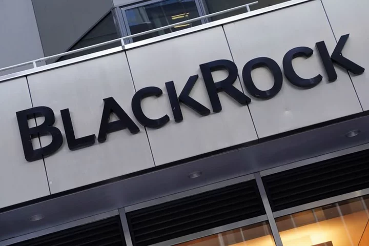 BlackRock fund targets greening of materials sector