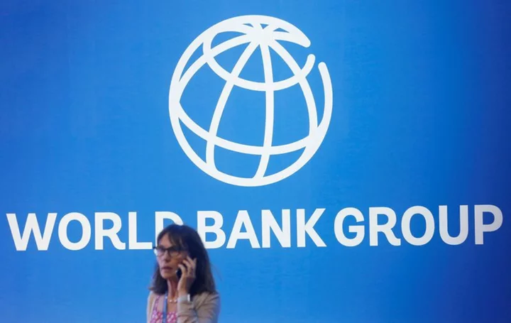 World Bank needs new playbook to boost private investment in emerging markets, new chief says