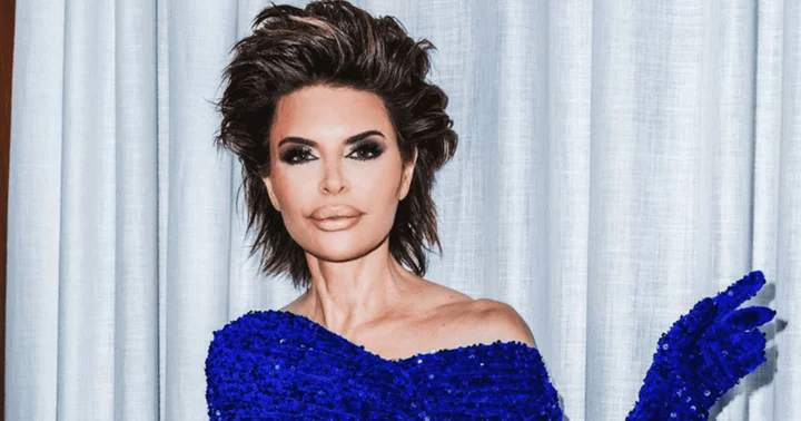 'No one asked for your opinion': Lisa Rinna shuts down troll who said 'hard no' to her Vivienne Westwood look