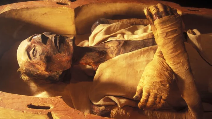 How an Unfortunate Misunderstanding Spawned a Medieval Mummy-Eating Fad