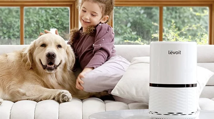 The best air purifiers to every home