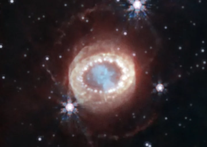 Webb telescope spills secrets of a famous supernova
