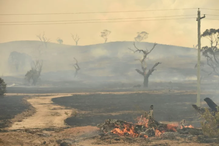Australian bushfires may have helped trigger La Nina