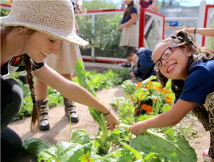 Sprouts Announces 24 School Garden Builds in 24 Hours in 24 Communities