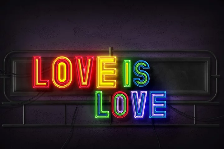 'Love Is Love' slogan tries to sanitise queerness for straight people