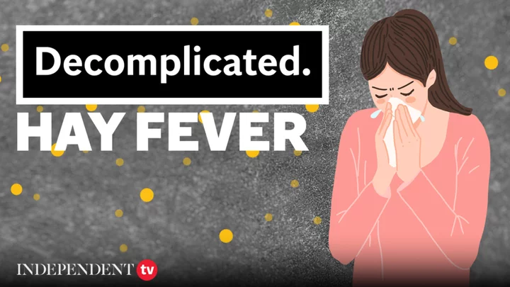 Everything you need to know about hay fever I Decomplicated