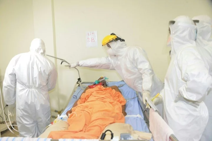 WHO declares end to Marburg virus outbreak in Equatorial Guinea