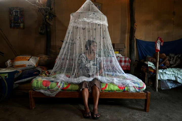 Brimful clinics, cemeteries as dengue ravages Peru