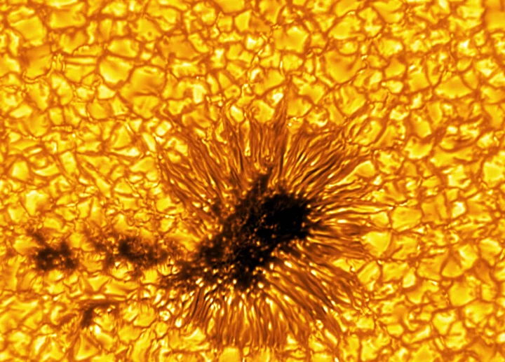 These new telescope images of the sun are just spectacular