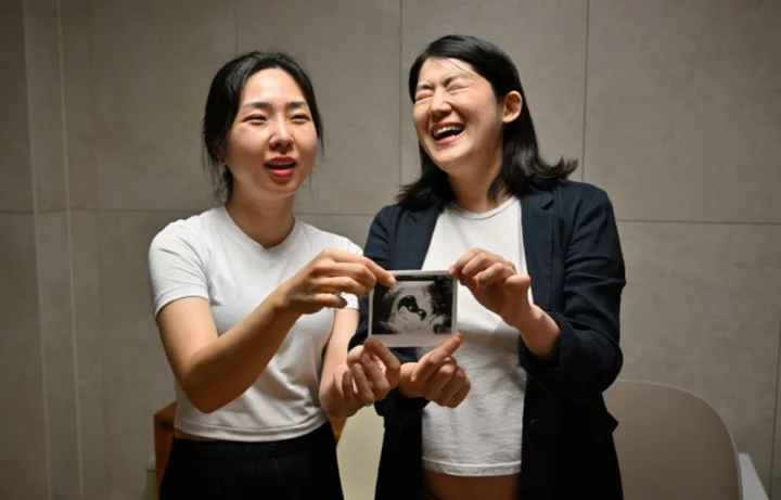 'Happy mothers': S. Korean couple beat same-sex barriers to parenthood