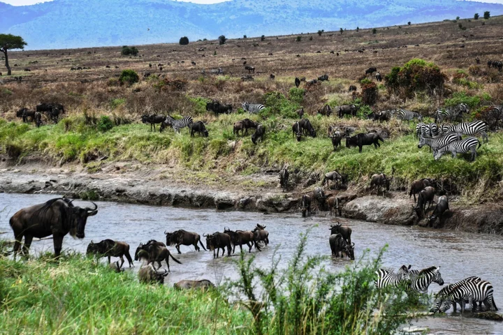 The Best Way to See Africa's Great Migration, on a Safari Without the Crowds