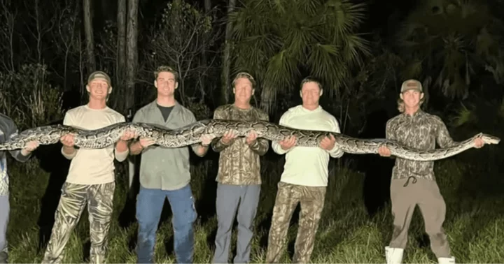 Florida man captures 16-foot snake with his bare hands for Python Challenge on August 13