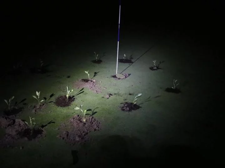Climate activists block golf course holes with seedlings and cement to protest water use