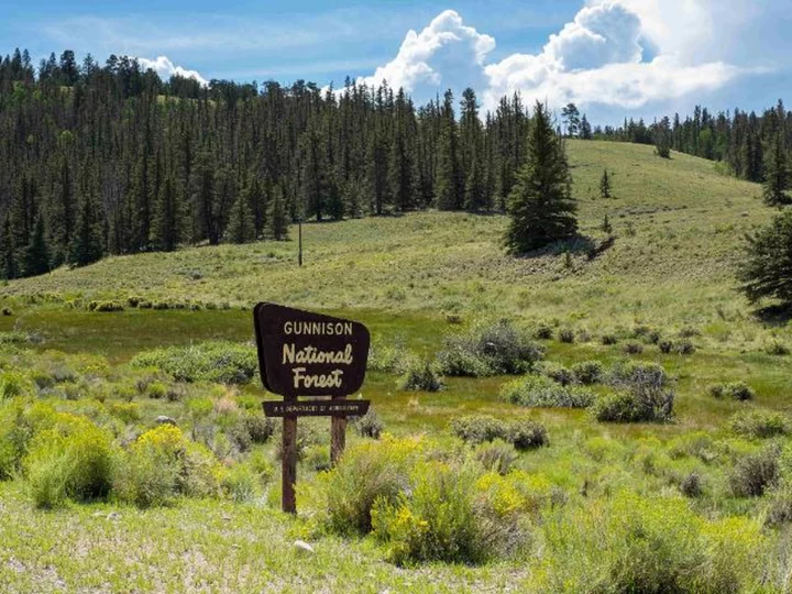 Colorado authorities are working to identify the bodies of 3 people found in a national forest but do not suspect foul play