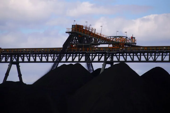 Australia's critical minerals industry does not need subsidies - BHP