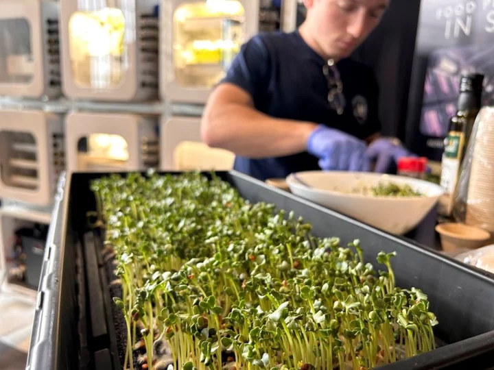 NASA looks to spice up astronaut menu with deep space food production