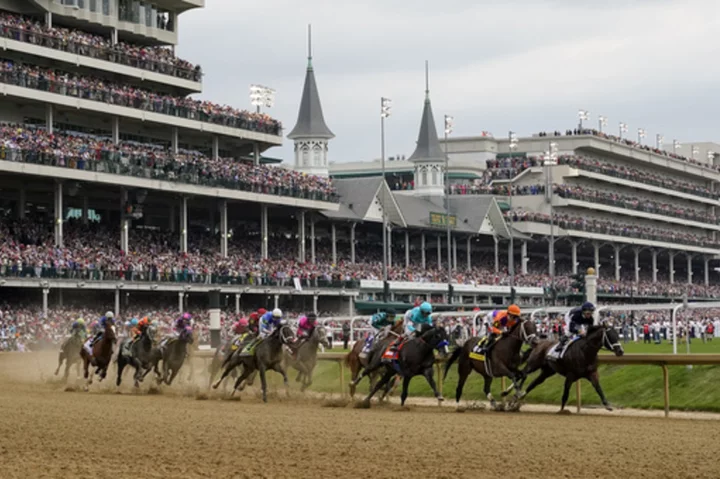 What is horse racing doing to prevent catastrophic injuries?