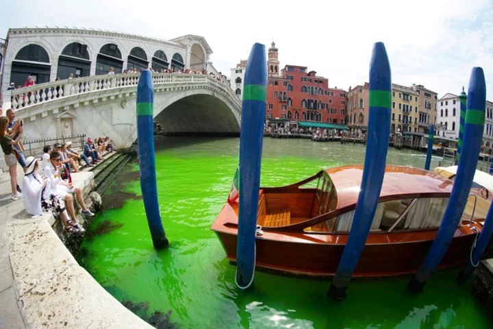 Venice's Grand Canal turns phosphorescent green