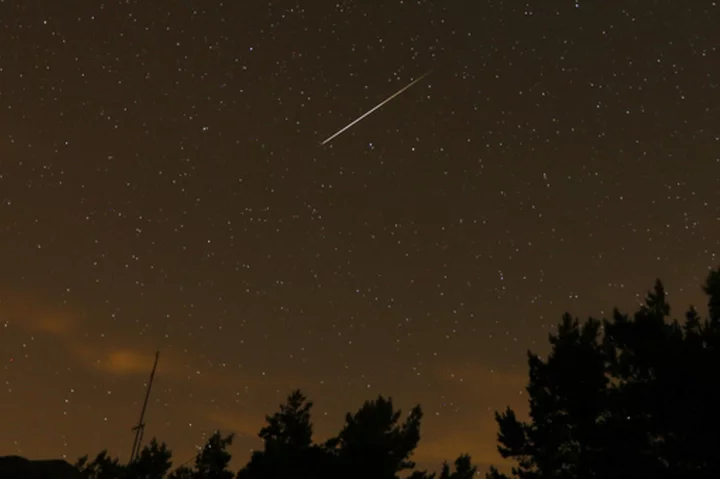 The Perseid meteor shower peaks this weekend and it's even better this year