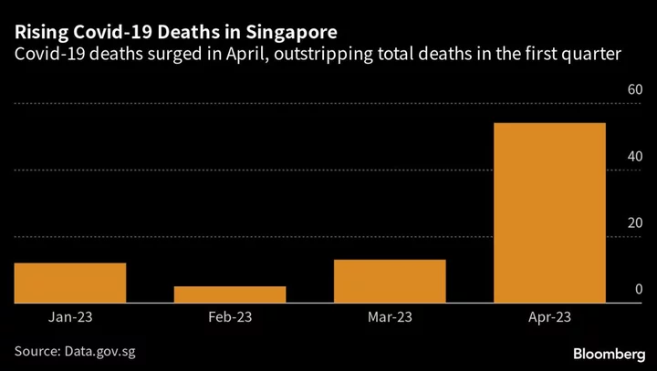 Singapore’s Covid Deaths Surged in April Even as Infections Fall
