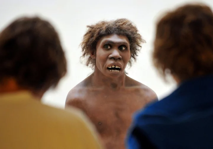 Scepticism about claim human ancestors nearly went extinct