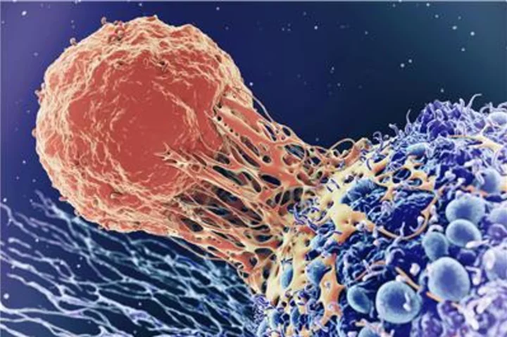 First Ever Investigational 18F-CD8 PET Radiopharmaceutical Aims to Predict and Monitor Early Response to Cancer Immunotherapies