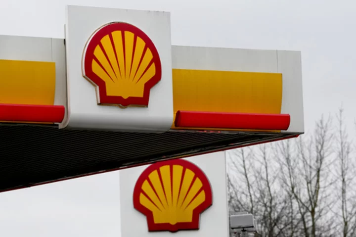 Shell CEO calls it 'irresponsible' to cut oil production now