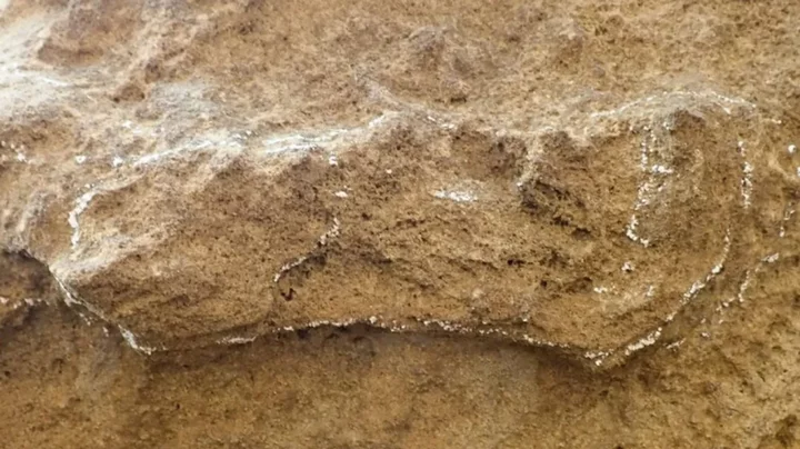 Study of oldest footprint ever may change the entire history of humanity