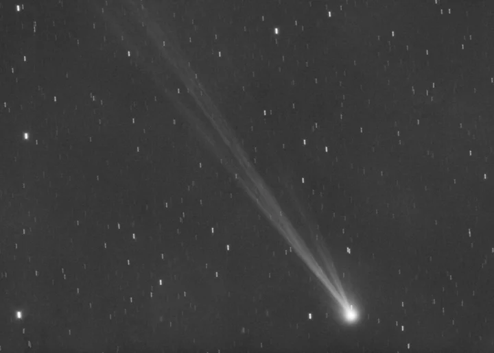 Look up before comet Nishimura vanishes in the sun's glare