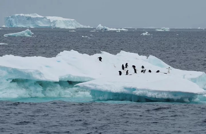 No quick fix to reverse Antarctic sea ice loss as warming intensifies - scientists