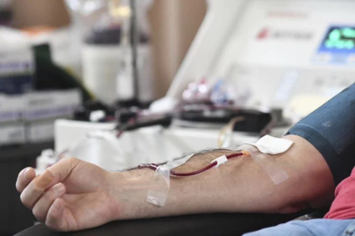 New blood donations rules allow more gay men to give in US