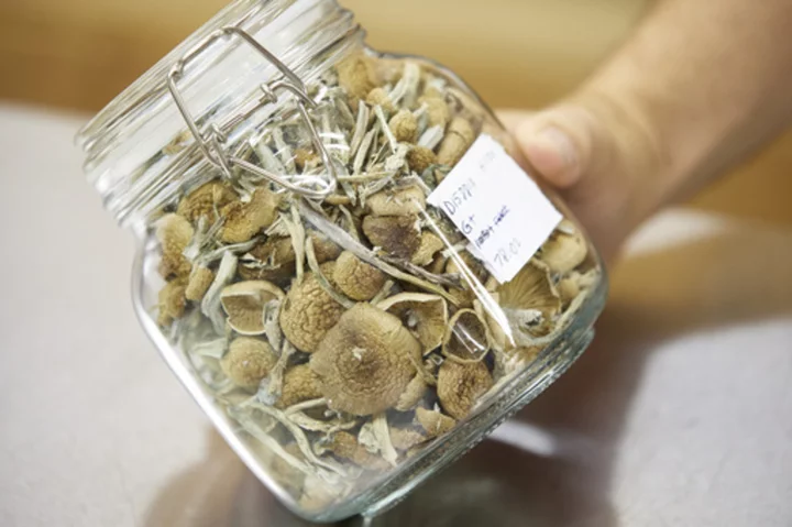 Thousands sign up to experience magic mushrooms as Oregon's novel psilocybin experiment takes off
