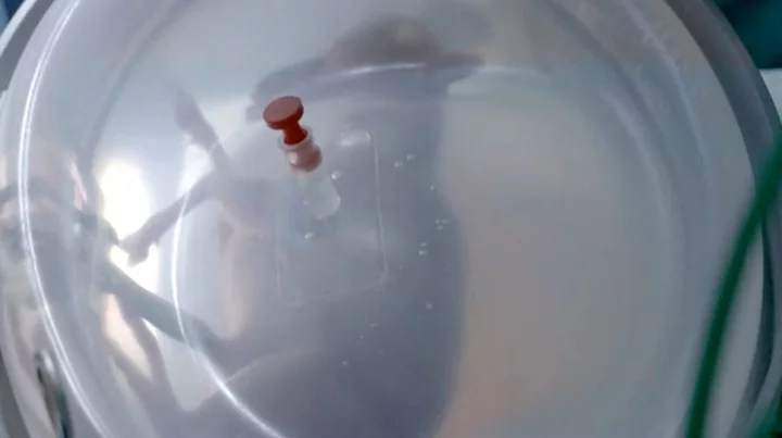 Spanish researchers aim to 'trick nature' with artificial womb
