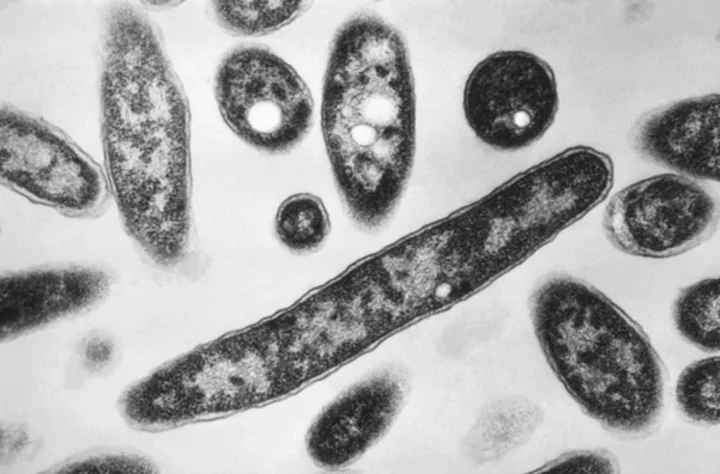 Legionnaires' disease outbreak in southeast Poland on decline with only 1 new case reported