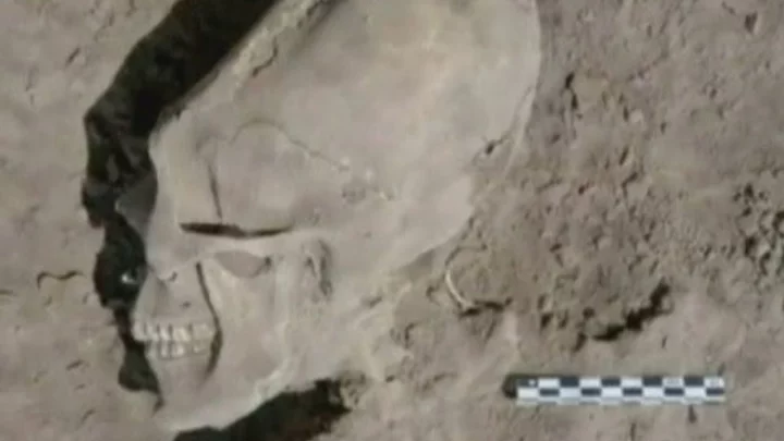 Scientists discover skull that has never been seen before