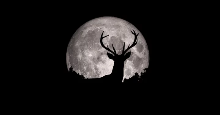 What is a 'Buck Moon'? How and when to watch first big supermoon of the year