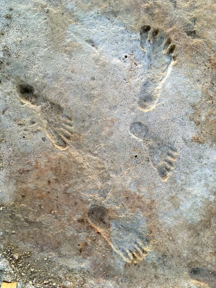 New tests confirm antiquity of ancient human footprints in New Mexico