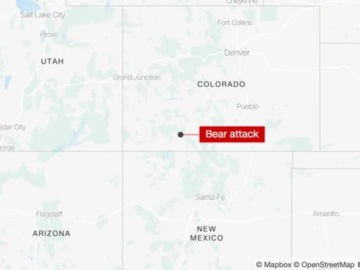 A 35-year-old herder was severely injured after a bear attack in Colorado