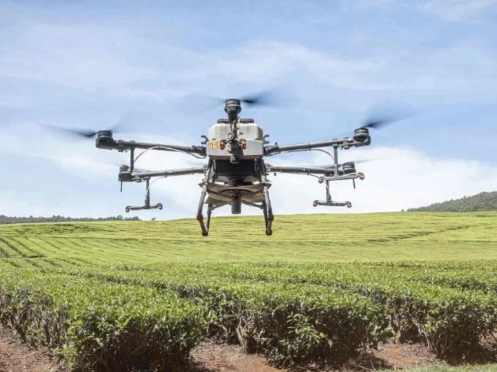 Six innovations that can help feed the world