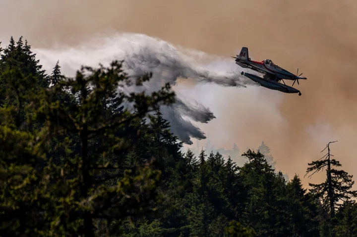 Canadian Wildfire Carbon Emissions Reach Highest Level on Record