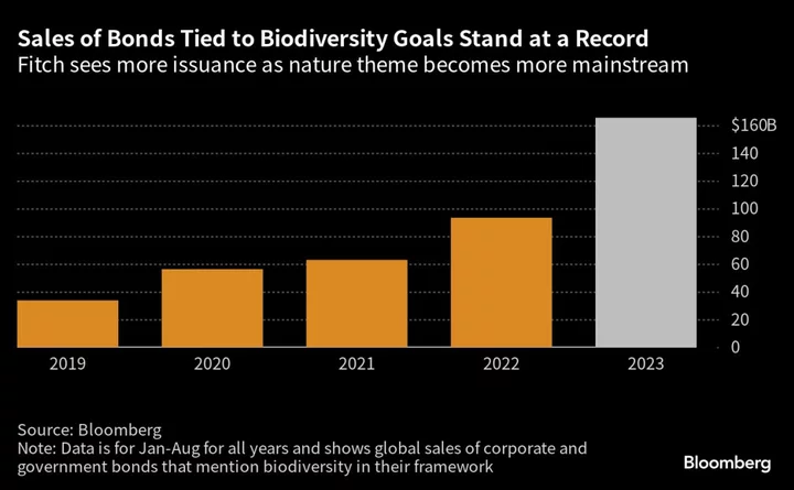 Fitch Braces for More ESG Bonds as Biodiversity Goes Mainstream