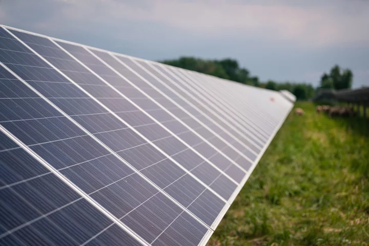 First Solar Urges US to Get Tough on Trade as Module Prices Sink