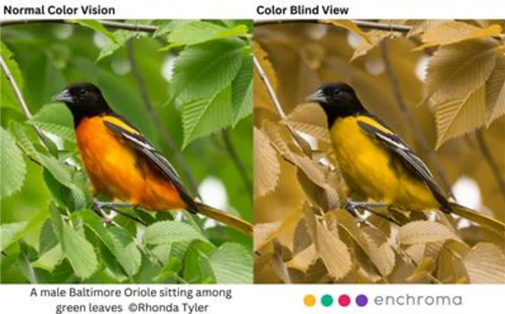 Detroit River International Wildlife Refuge Teams with EnChroma to Enhance Experience for Color Blind Visitors