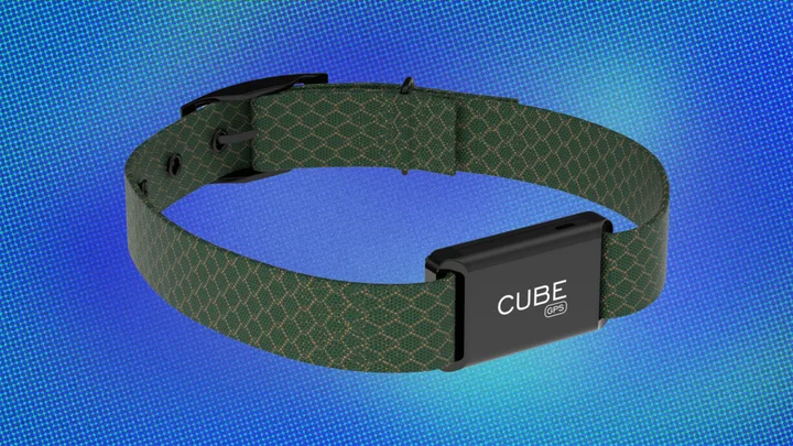 Keep your furry friends close with $35 off the Cube GPS tracker