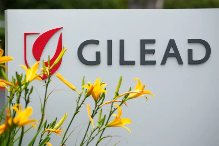 US FDA puts Gilead Sciences blood cancer drug studies on hold
