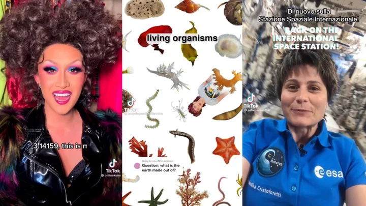 From lake science to bones to snails, these TikTok accounts are STEM treasure troves