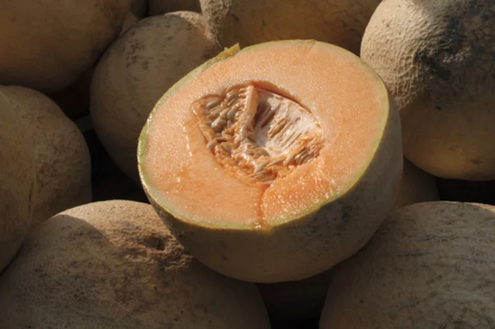 Don't eat pre-cut cantaloupe if the source is unknown, CDC says, as deadly salmonella outbreak grows