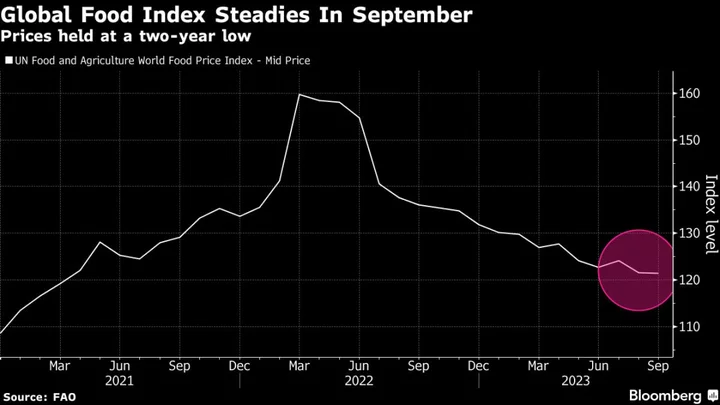 World Food Prices Steady at Two-Year Low on Cheaper Oilseeds