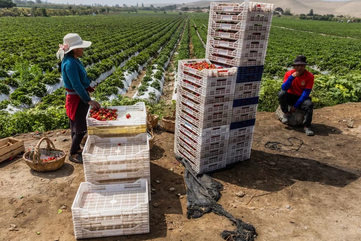 Peru Economy Shrinks Again, Pointing to Negative Growth in 2023